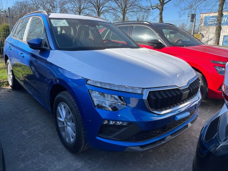 Škoda Kamiq Selection