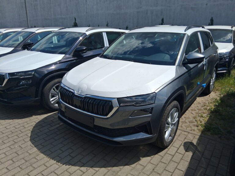 Škoda Karoq Drive