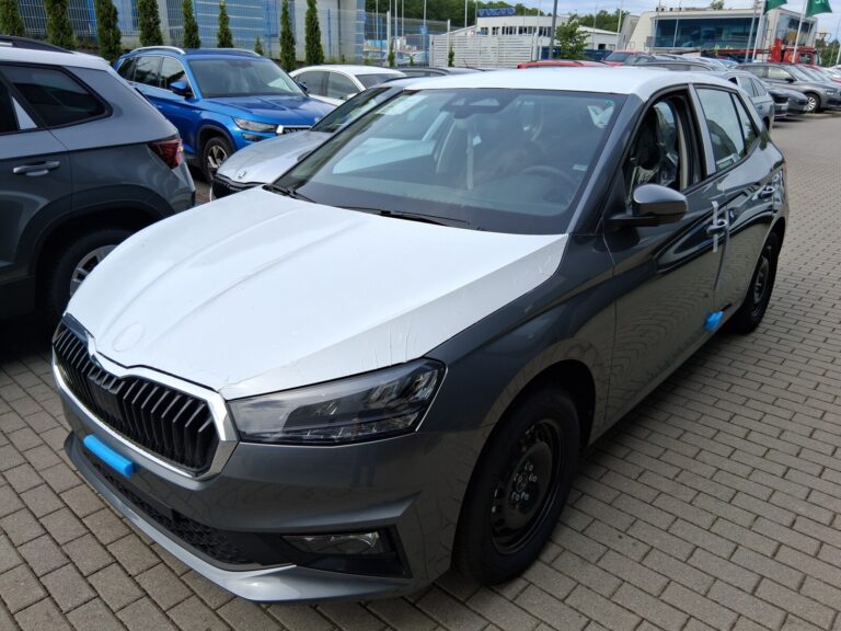 Škoda Fabia Selection