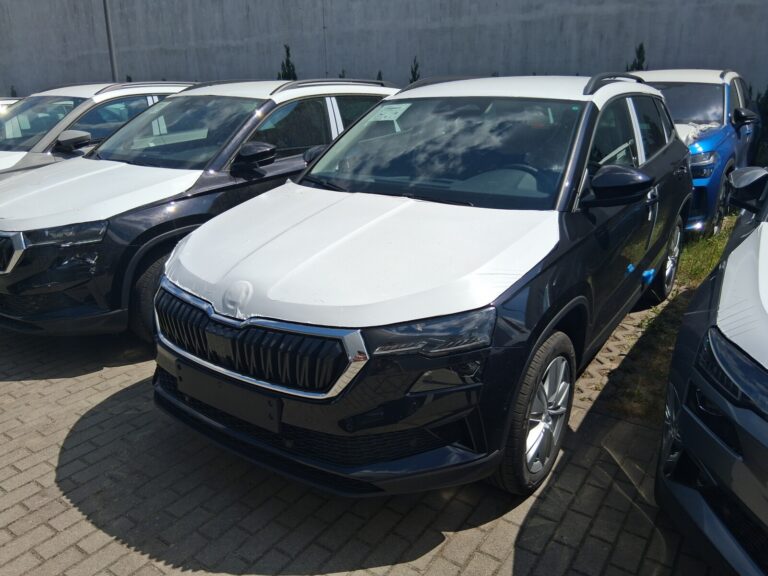 Škoda Karoq Drive